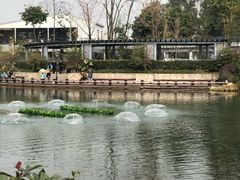 -成飞公园