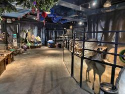 -酷嗒动物文化乐园(cutezoo西溪乐天城店)