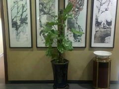 -茶语轩(频阳大道店)