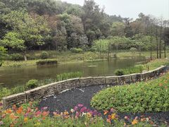 -云溪植物园