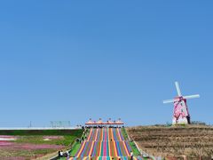 -莱阳濯村樱花园