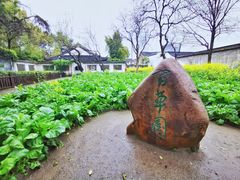 -绍兴鲁迅故里·沈园景区