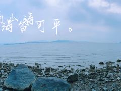 -深圳湾公园(南山区)