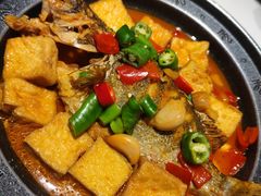 -阿露佳·舌尖上的安吉菜