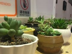 -鱼醉无骨鱼·中山脆肉鲩(荔湾路店)