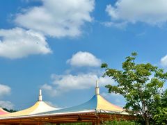 -郑州方特梦幻王国