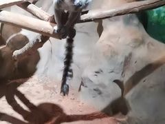 -砂之船奥特莱斯(合肥店)