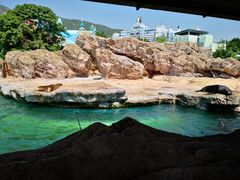 -珠海长隆海洋王国