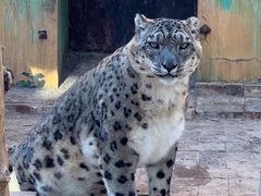 -青藏高原野生动物园