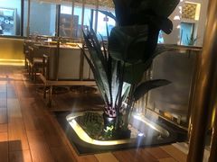 -金香匯晚茶(浑南店)
