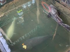 -蓝湾碧波·老字号·疍家非遗海上餐厅