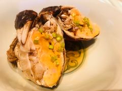 -子福慧(虹桥店)