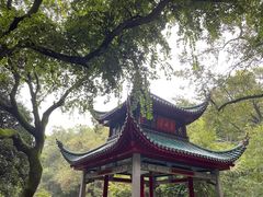 -岳麓山风景名胜区