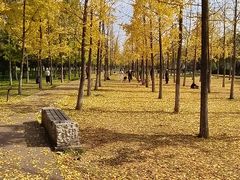 -汉长安城未央宫国家考古遗址公园