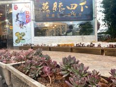 -蘑统田下·野生菌火锅