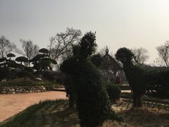 -武汉紫薇都市田园