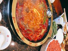 -一斗火锅·招财羊毛肚(上河城店)