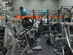 -健身专家Wellness Experts