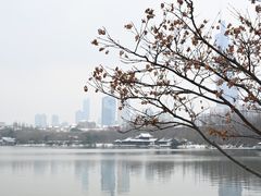-玄武湖景区