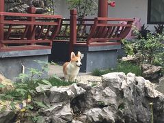-暖心派对·独栋别墅团建聚会轰趴馆