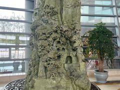 -华西龙希国际大酒店旅游观光景区