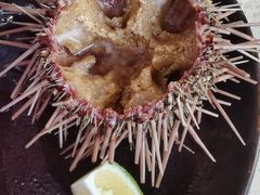 -蚝堡·生蚝海鲜烧烤物种起源•海肠捞饭(刘公岛店)