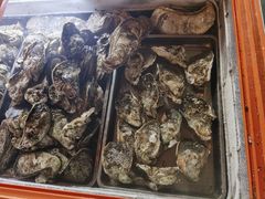 生蚝-土蚝·高压锅生蚝(百姓美食街店)