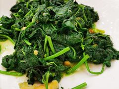 番薯叶-东豪园林海鲜酒家(南港路辅路店)