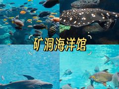 -长鹿旅游休博园