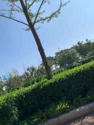 -HEYAN长风荷妍专业脱毛美肤
