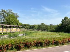 -杏花村文化旅游区