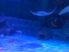 -沈阳海洋探索中心