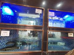 -沱江鱼府(丽江店)