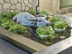 -亚龙湾希尔顿自助餐厅·海鲜·烧烤·沙滩BBQ·现场乐队