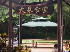 -野象谷景区