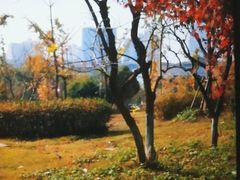 -南山风景名胜区