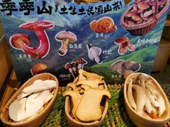 -季季山•云南野生菌火锅(上海首店)