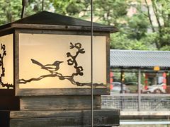 -侨美·唐荔园·40年地道粤菜