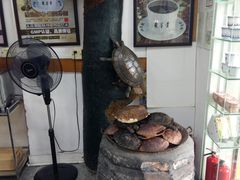 -海天堂(玉带濠店)