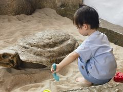 -呼和浩特市老牛儿童探索馆