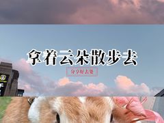 -南宁南湖公园