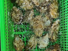 -众味海鲜大排档·活海鲜·潮汕味(南澳店)