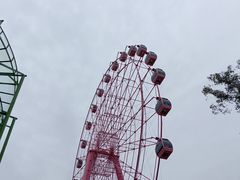 -柳州市动物园