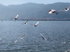 -海埂大坝
