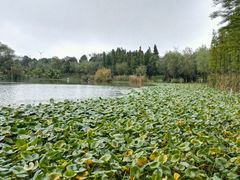 -艾溪湖湿地公园