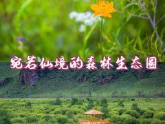 -百里天路