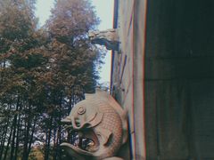 -尚贤河湿地