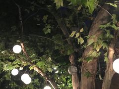 -Ginger(兴国路店)