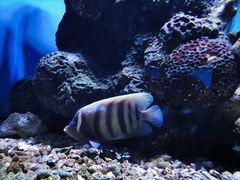 -大连老虎滩海洋公园