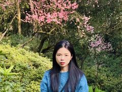 -南山植物园